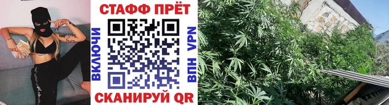 Наркотические вещества Нововоронеж Амфетамин Гашиш Конопля Кокаин