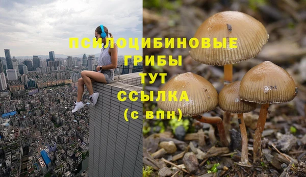 мет Алексин