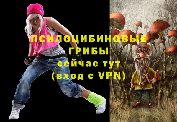 spice Алзамай