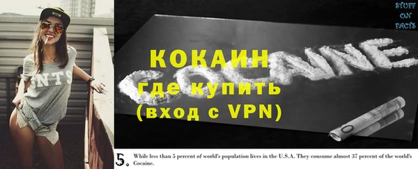 стаф Абинск