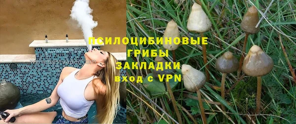 spice Алзамай