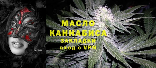 мет Алексин