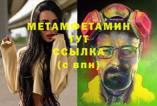 мет Алексин